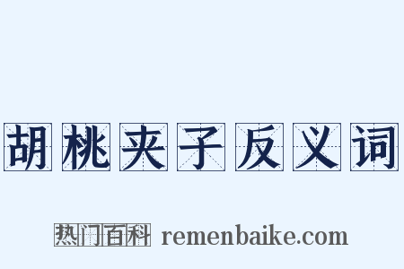 胡桃夹子反义词是什么意思的图片